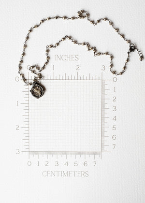 Pegasus and Urn Coin Necklace