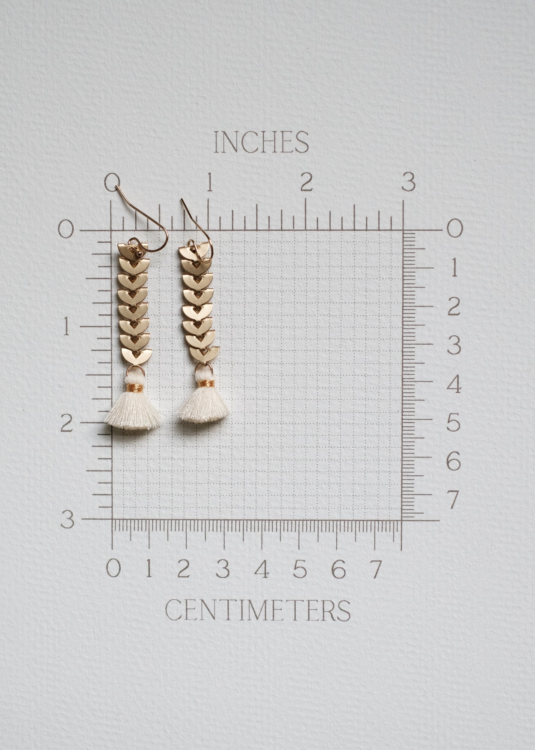 Fishbone Chain Tassel Earrings