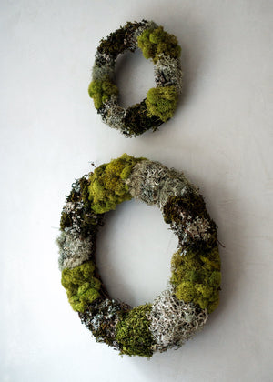 Mosses and Lichen Wreath Small