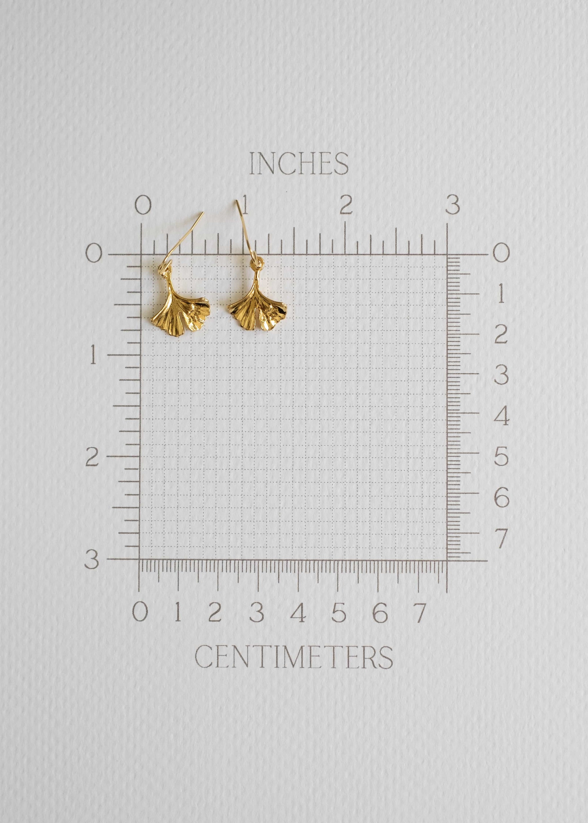 Ginkgo Earrings by Atelier 363, photo e